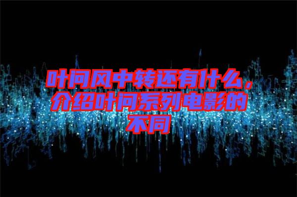 葉問風(fēng)中轉(zhuǎn)還有什么，介紹葉問系列電影的不同