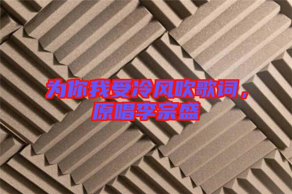為你我受冷風(fēng)吹歌詞，原唱李宗盛
