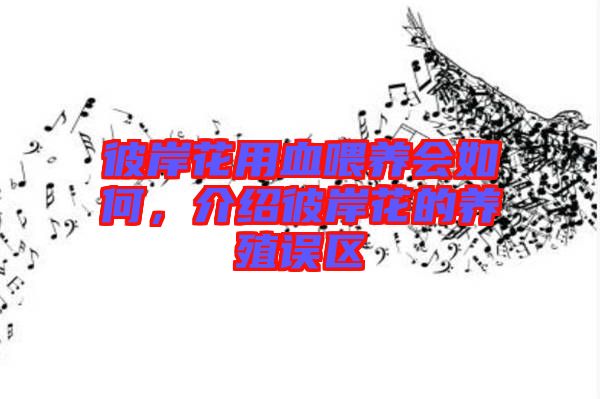 彼岸花用血喂養(yǎng)會如何，介紹彼岸花的養(yǎng)殖誤區(qū)