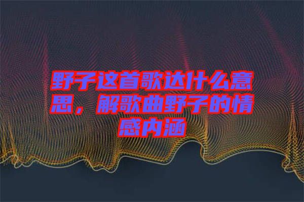 野子這首歌達什么意思，解歌曲野子的情感內(nèi)涵