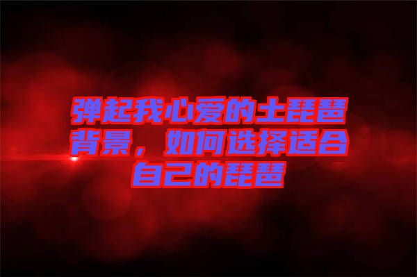 彈起我心愛的土琵琶背景，如何選擇適合自己的琵琶