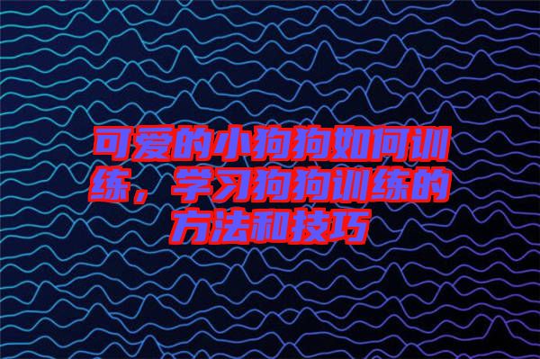 可愛的小狗狗如何訓(xùn)練，學(xué)習(xí)狗狗訓(xùn)練的方法和技巧