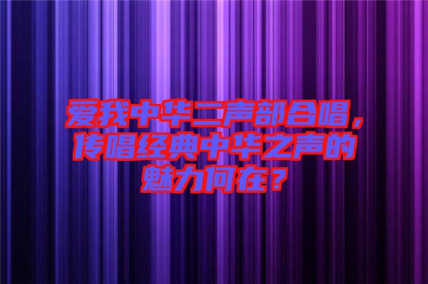 愛我中華二聲部合唱，傳唱經(jīng)典中華之聲的魅力何在？