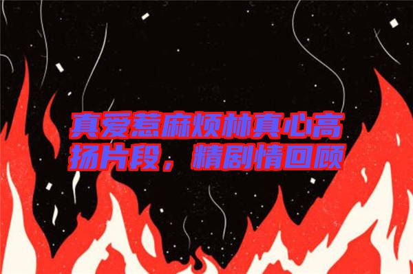 真愛惹麻煩林真心高揚(yáng)片段，精劇情回顧