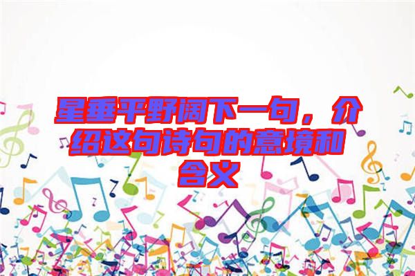 星垂平野闊下一句，介紹這句詩句的意境和含義