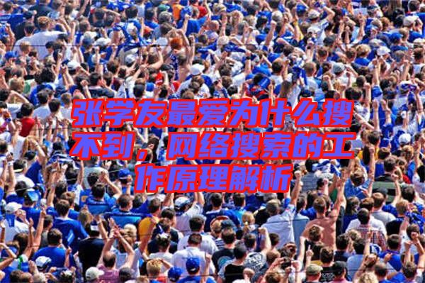 張學(xué)友最愛為什么搜不到，網(wǎng)絡(luò)搜索的工作原理解析