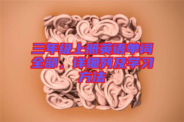 三年級上冊英語單詞全部，詳細列及學習方法