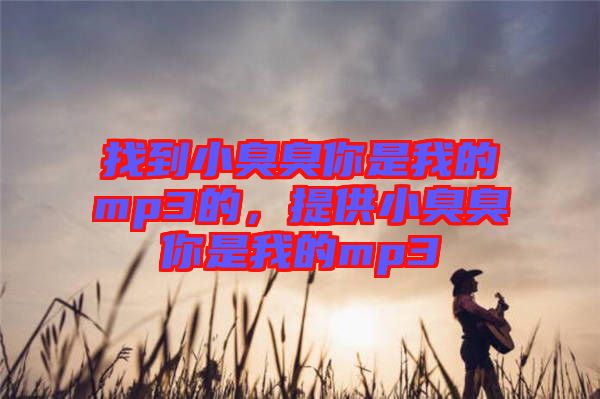 找到小臭臭你是我的mp3的，提供小臭臭你是我的mp3