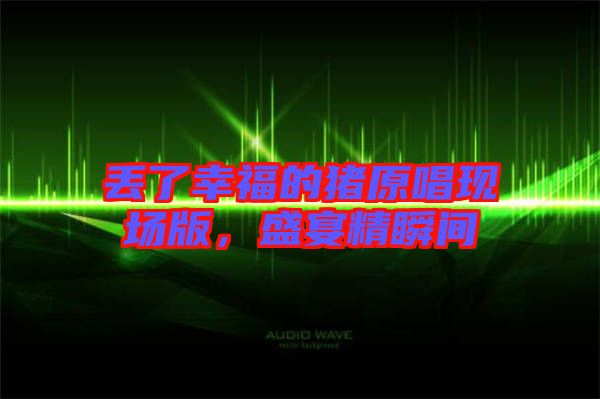 丟了幸福的豬原唱現(xiàn)場(chǎng)版，盛宴精瞬間