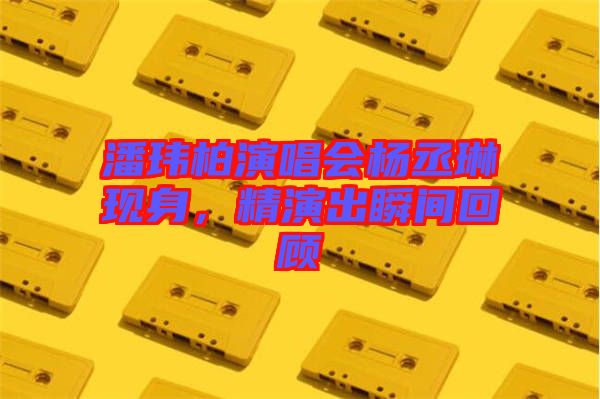 潘瑋柏演唱會楊丞琳現(xiàn)身，精演出瞬間回顧
