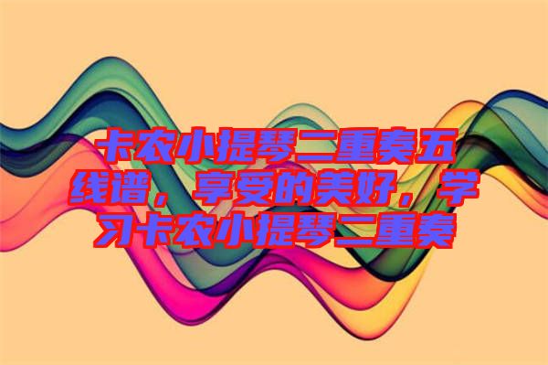卡農小提琴二重奏五線譜，享受的美好，學習卡農小提琴二重奏