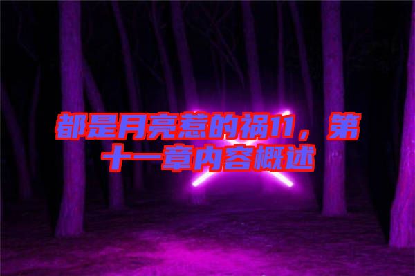 都是月亮惹的禍11，第十一章內(nèi)容概述