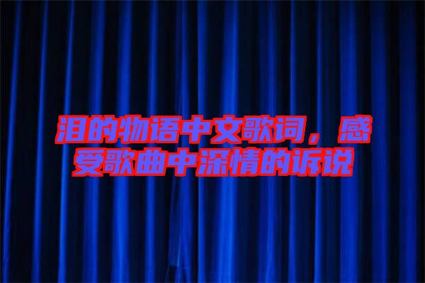 淚的物語(yǔ)中文歌詞，感受歌曲中深情的訴說(shuō)