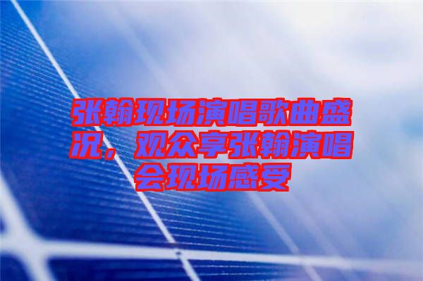 張翰現(xiàn)場(chǎng)演唱歌曲盛況，觀眾享張翰演唱會(huì)現(xiàn)場(chǎng)感受