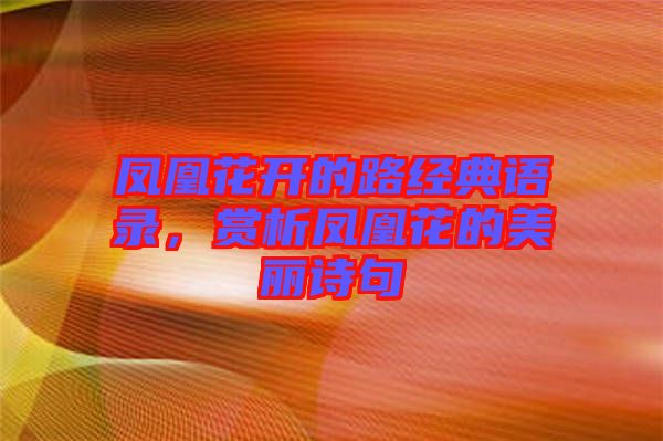 鳳凰花開(kāi)的路經(jīng)典語(yǔ)錄，賞析鳳凰花的美麗詩(shī)句