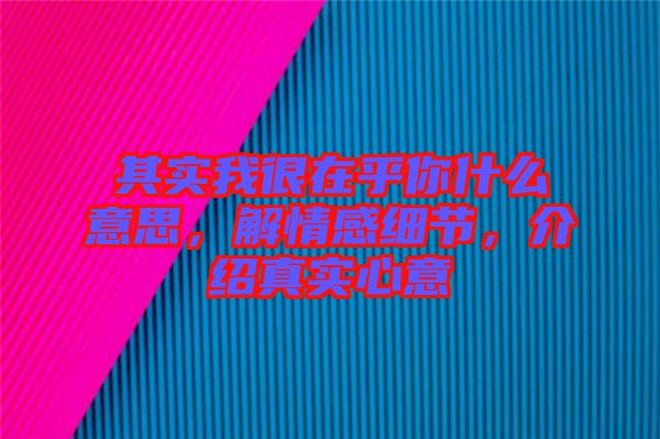 其實我很在乎你什么意思，解情感細節(jié)，介紹真實心意