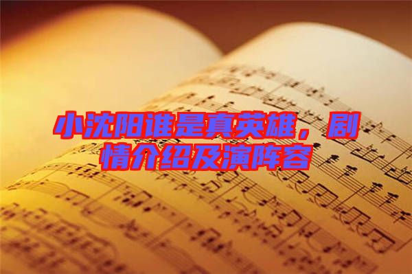 小沈陽(yáng)誰(shuí)是真英雄，劇情介紹及演陣容