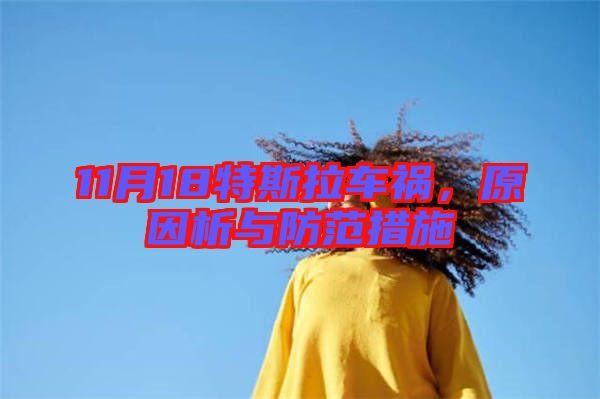 11月18特斯拉車(chē)禍，原因析與防范措施