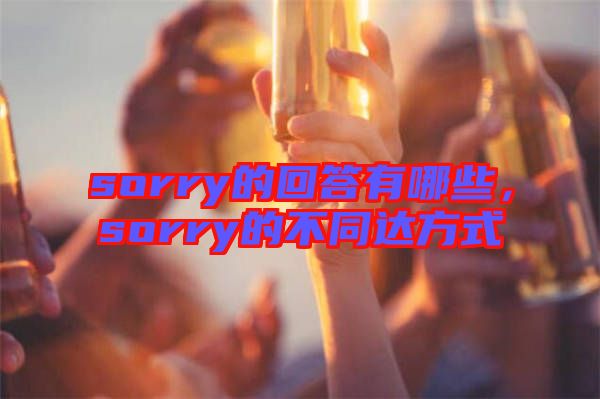 sorry的回答有哪些，sorry的不同達(dá)方式