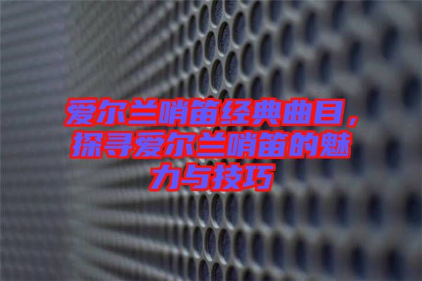 愛爾蘭哨笛經(jīng)典曲目，探尋愛爾蘭哨笛的魅力與技巧