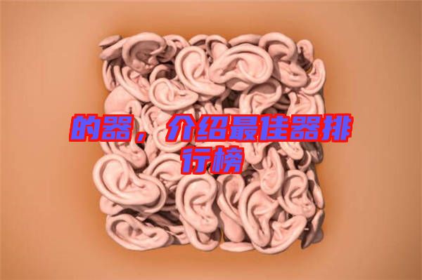 的器，介紹最佳器排行榜