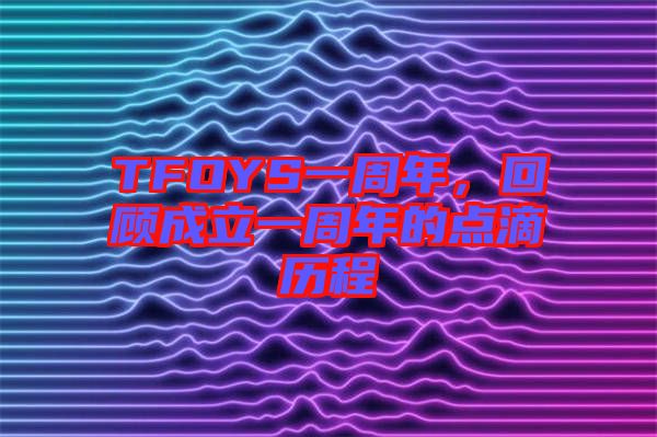 TFOYS一周年，回顧成立一周年的點滴歷程