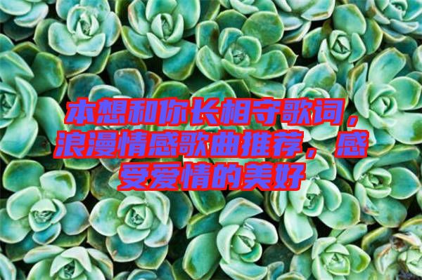 本想和你長(zhǎng)相守歌詞，浪漫情感歌曲推薦，感受愛情的美好