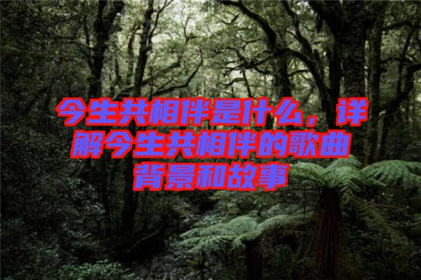 今生共相伴是什么，詳解今生共相伴的歌曲背景和故事