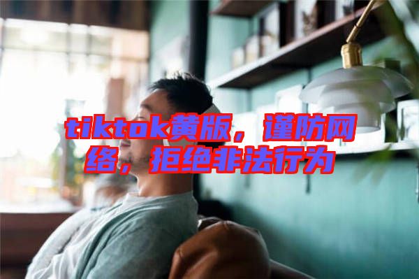 tiktok黃版，謹(jǐn)防網(wǎng)絡(luò)，拒絕非法行為