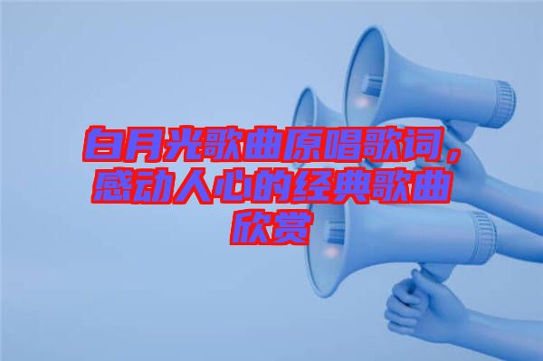 白月光歌曲原唱歌詞，感動人心的經(jīng)典歌曲欣賞