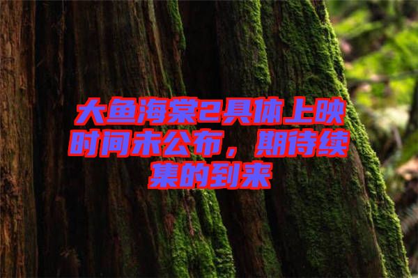 大魚海棠2具體上映時(shí)間未公布，期待續(xù)集的到來(lái)