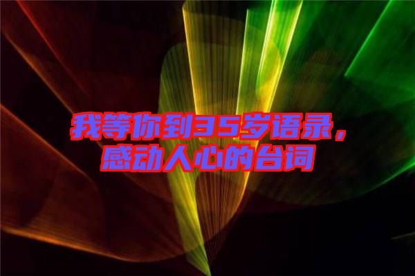 我等你到35歲語(yǔ)錄，感動(dòng)人心的臺(tái)詞