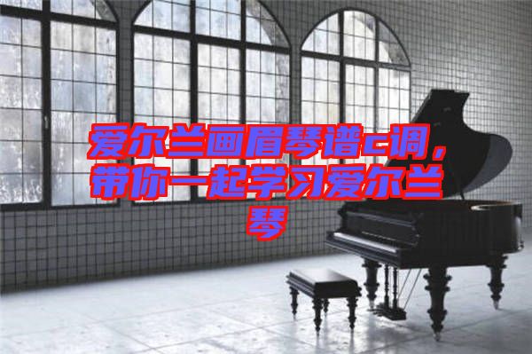 愛(ài)爾蘭畫眉琴譜c調(diào)，帶你一起學(xué)習(xí)愛(ài)爾蘭琴
