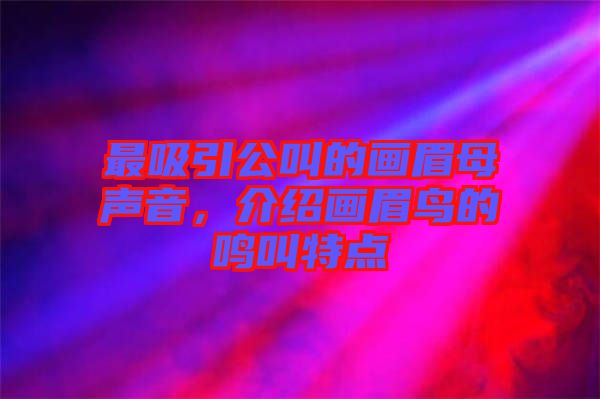 最吸引公叫的畫眉母聲音，介紹畫眉鳥的鳴叫特點