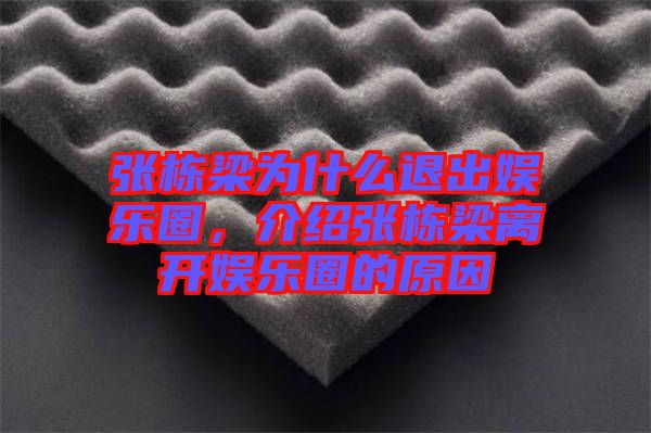 張棟梁為什么退出娛樂圈，介紹張棟梁離開娛樂圈的原因