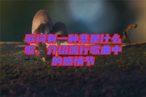 歌詞有一種悲是什么歌，介紹流行歌曲中的感情節(jié)