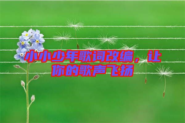 小小少年歌詞改編，讓你的歌聲飛揚(yáng)