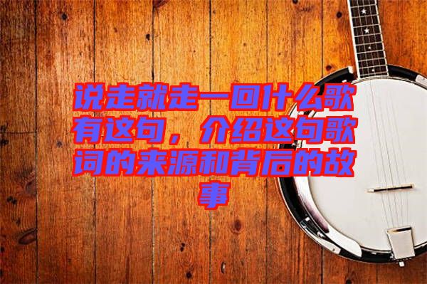 說走就走一回什么歌有這句，介紹這句歌詞的來源和背后的故事