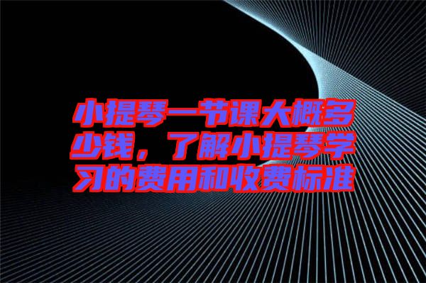 小提琴一節(jié)課大概多少錢，了解小提琴學(xué)習(xí)的費(fèi)用和收費(fèi)標(biāo)準(zhǔn)