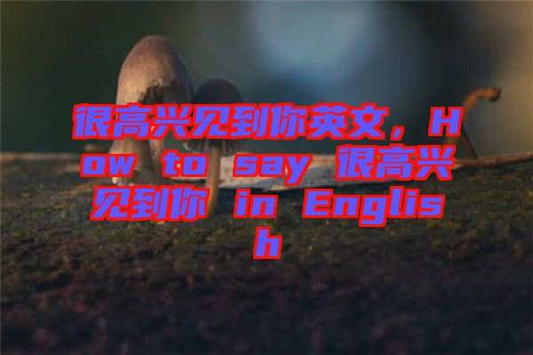 很高興見到你英文，How to say 很高興見到你 in English