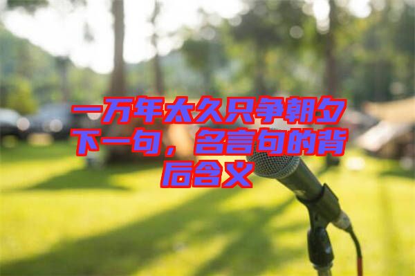 一萬(wàn)年太久只爭(zhēng)朝夕下一句，名言句的背后含義