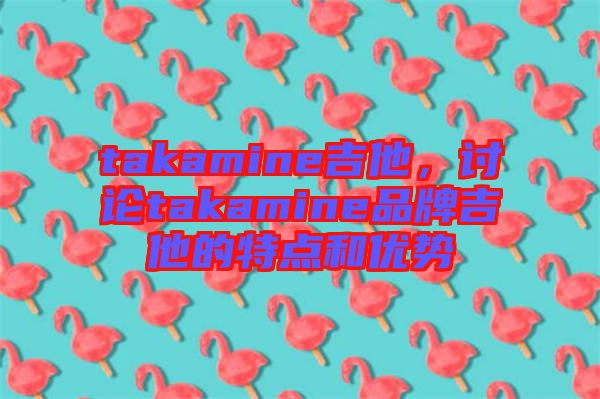 takamine吉他，討論takamine品牌吉他的特點和優(yōu)勢