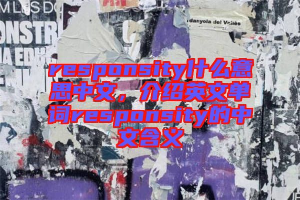 responsity什么意思中文，介紹英文單詞responsity的中文含義