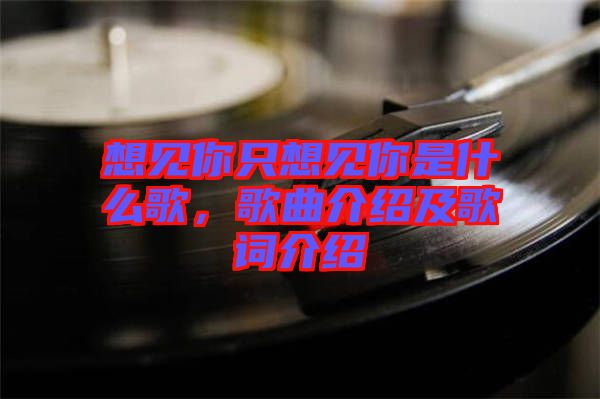 想見(jiàn)你只想見(jiàn)你是什么歌，歌曲介紹及歌詞介紹