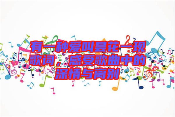 有一種愛叫曇花一現(xiàn)歌詞，感受歌曲中的深情與離別