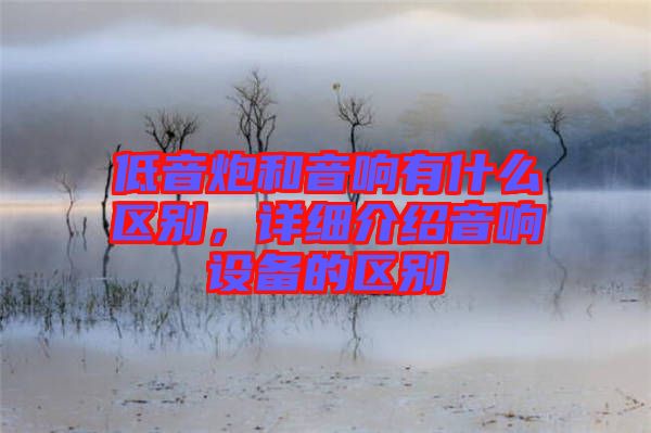 低音炮和音響有什么區(qū)別，詳細(xì)介紹音響設(shè)備的區(qū)別