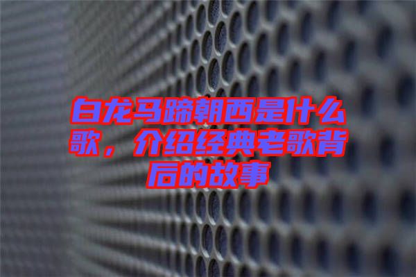 白龍馬蹄朝西是什么歌，介紹經(jīng)典老歌背后的故事