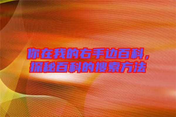 你在我的右手邊百科，探秘百科的搜索方法