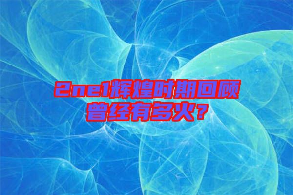 2ne1輝煌時期回顧曾經(jīng)有多火？