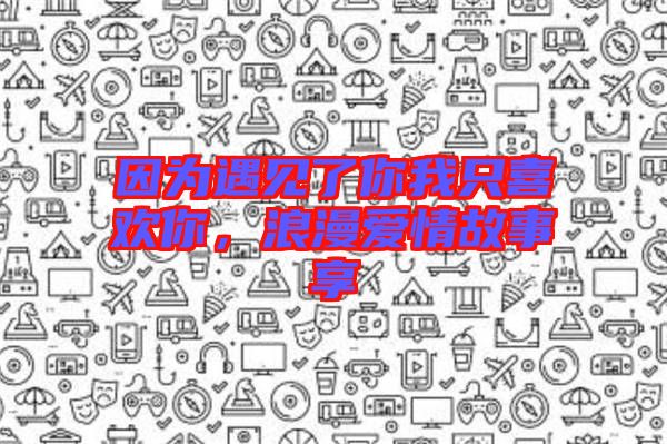 因為遇見了你我只喜歡你，浪漫愛情故事享